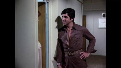 Who is it? - The Love Boat