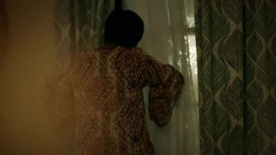            Who is it? - Black Lightning