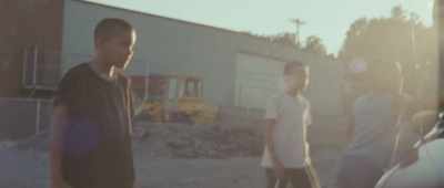 Who knows us? - We the Animals