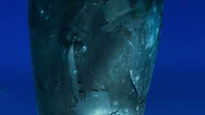 Who knows what the owners - Blue Planet II