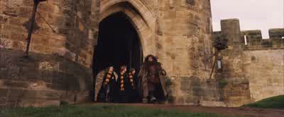 Who knows? - Harry Potter and the Philosopher's Stone