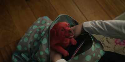 - Who put you in here?
- [panting] - Clifford the Big Red Dog