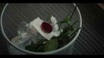 Who is sending you
flowers at work? - Emperor of Ocean Park