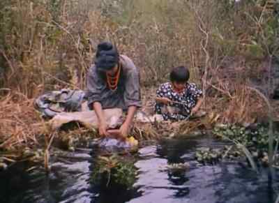Who is she, Billy? - Wind Across the Everglades