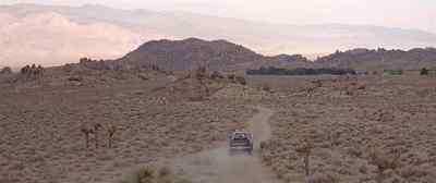 Who was that? - Joshua Tree