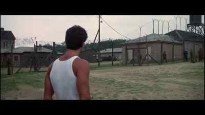 WHO THE HELL ARE THEY? - Victory