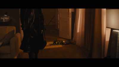 Who the hell are you?
Damn it, you pterodactyl. - Major Grom: Plague Doctor