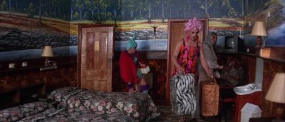 Who the hell does all the  painting  around here - The Adventures of Priscilla, Queen of the Desert