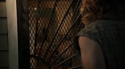 Who the hell is it? - Shameless