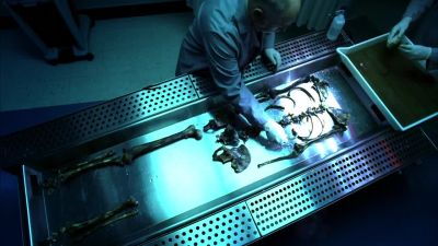 Who is this? - CSI: Crime Scene Investigation
