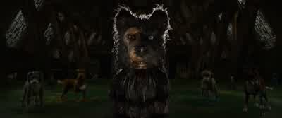 Hmm. Who told you that dirty lie? - Isle of Dogs