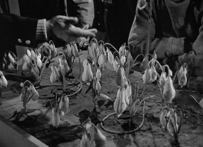 Who wants some coffee - The Thing from Another World