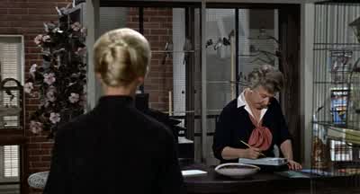 Who was that man? - The Birds