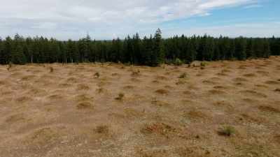 Who, or what,
built the mysterious Mima Mounds? - Secrets of the Underground