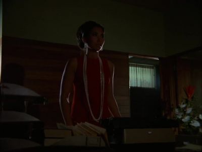 WHO -- WHO IS IT? - Hawaii Five-0