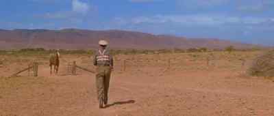 Whoa, Abbie. Whoa, whoa, whoa, whoa. - Gallipoli