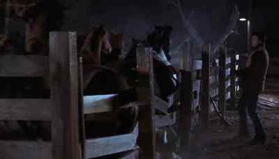 Whoa, boy. Easy, easy. - Night of the Lepus