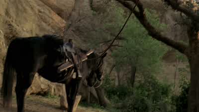 Whoa, boy. - Westworld