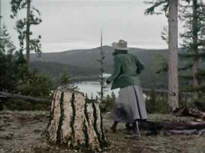Whoa, boy! Whoa! - Timberjack