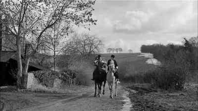 Whoa, boy! Whoa! Steady! Steady! - Murder at the Gallop