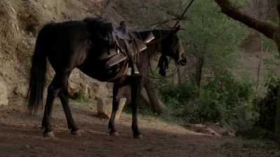Whoa, boy. - Westworld