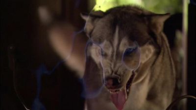 Whoa!
Cool! - Eureka