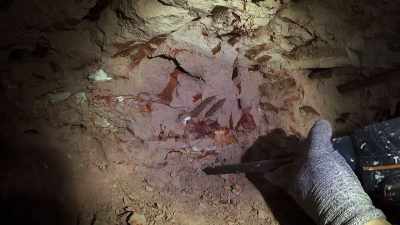 Whoa!
..he risks bringing down - Outback Opal Hunters