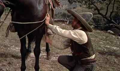 Whoa, horse. - The Wonderful Country