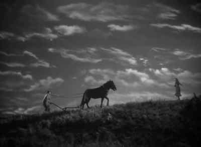Whoa, Noah. - Sergeant York