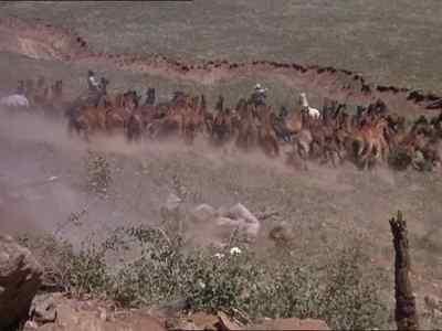 Whoa now! - My Friend Flicka