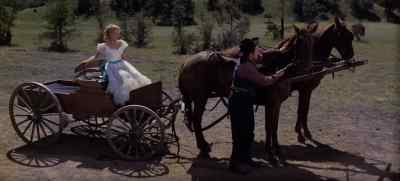 Whoa now. Whoa, boy. - Oklahoma!