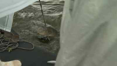 Whoa! Oh! - Swamp People