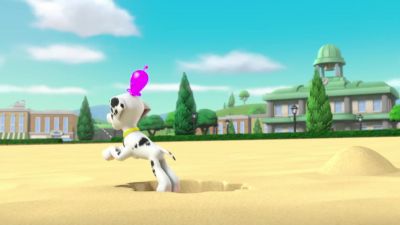 Whoa! - PAW Patrol