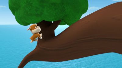 Whoa! - PAW Patrol