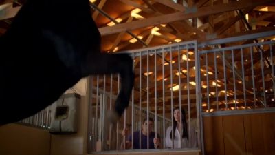 Whoa. - CSI: Miami