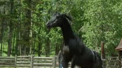 Whoa... - Heartland