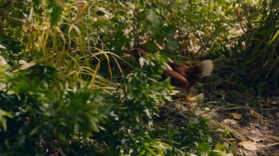 Whoa. - NCIS: Hawai'i