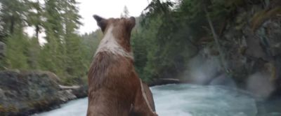 Whoa! - The Call of the Wild