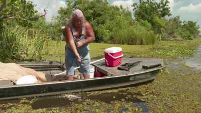               Whoa! - Swamp People