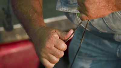 Whoa! - Swamp People