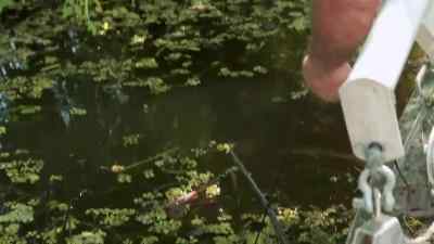 Whoa! - Swamp People