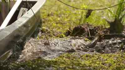 Whoa! - Swamp People