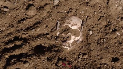 Whoa! - NCIS