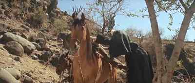 Whoa. - Two Mules for Sister Sara
