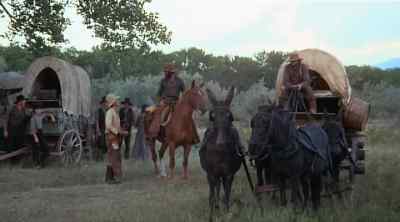Whoa. - The Culpepper Cattle Co