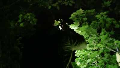 -Whoa! Stop guys, stop.
-[Ronny] Hold on. - Expedition Bigfoot