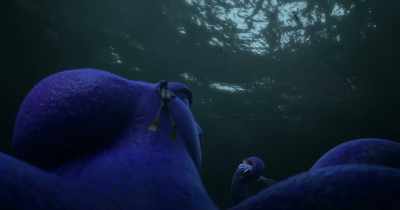- Whoa.
- Where are you going? - Dolphin Boy