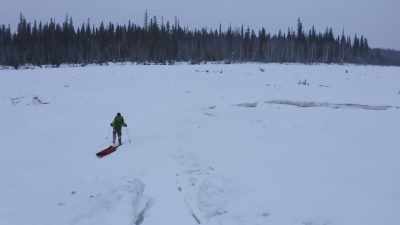 Whoa, whoa. Hey.
Sips. Sips. Hey. - Life Below Zero: Next Generation