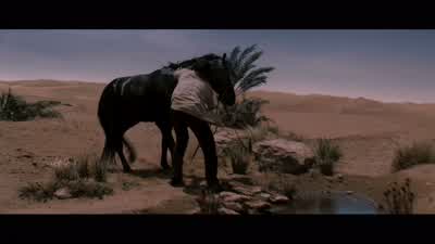 Whoa. Whoa. Whoa. - Kingdom of Heaven