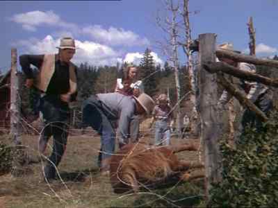 Whoa, whoa! - My Friend Flicka